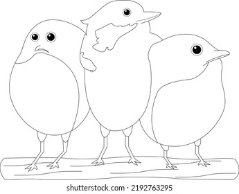 A set of birds. The vector is isolated. Cute coloring page. Cute Cartoon Birds