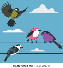 A set of birds. The vector is isolated on a blue background. Colorful birds sitting on wire isolated.