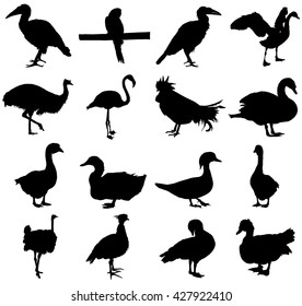 Set of birds vector silhouette illustration isolated on white background.