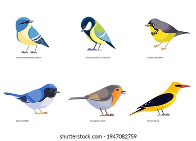Baltimore Oriole Bird Vector Illustration Stock Vector (Royalty Free)  1199866642