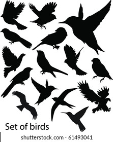 Set Birds.Vector