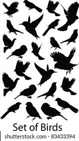 Set Birds.Vector