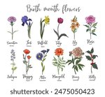Set of Birth month flowers colored outline vector drawing. Carnation, iris, daffodil, tulip, lily, rose, poppy, aster, larkspur, peony, holly, marigold isolated illustration for tattoo, logo, wall art
