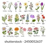 Set of Birth month flowers colorful illustration. 