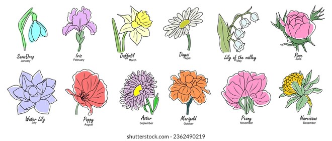 Conjunto de flores de mes de nacimiento ilustraciones vectoriales coloridas aisladas en fondo blanco. Daisy, rose, peony, aster, iris, narciso, lirio acuático, diseño dibujado a mano de nieve para logo, tatuaje, embalaje.