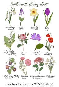 Set of Birth month flowers colorful illustration. 