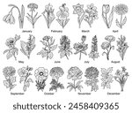 Set of Birth month flowers line art vector illustrations. Snowdrop, Violet, Cherry Blossom, Water lily, poppy, morning glory, cosmos, chrysanthemum, rose outline drawings for tattoo, logo, wall art.