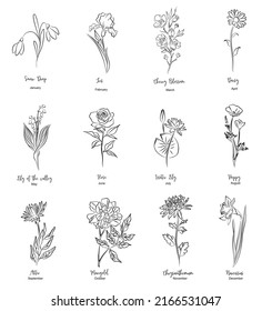 Set of birth month flowers line art vector illustrations. Daisy, marigold, rose, snowdrop, iris, aster, cherry blossom, chrysanthemum, narcissus, lilies of the valley hand drawn black ink design.