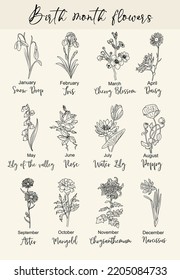 Conjunto de ilustraciones vectoriales de líneas de flores de mes de nacimiento. Daisy, marigold, rose, snowdrop, iris, aster, cerezo flor, crisantemo, narciso, sketch de tinta negra dibujado a mano con lirio.