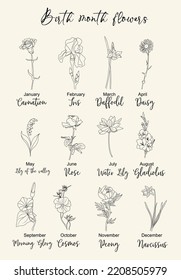 Set of birth month flowers line art vector illustrations. Daisy, carnation, rose, peony, iris, cosmos, morning glory, narcissus, lilies of the valley hand drawn black ink design.