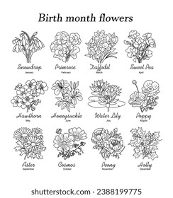 Set of Birth Month Flowers line art vector illustrations. Snowdrop, daffodil, hawthorn, honeysuckle, primrose, water lily, peony, cosmos  black ink sketch. Modern design for wall art, tattoo, logo.