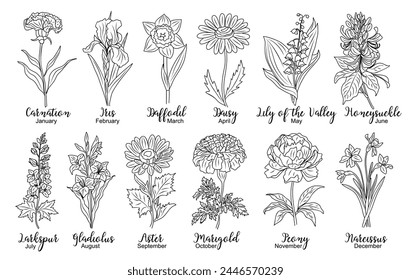 Set of birth month flowers line art vector.