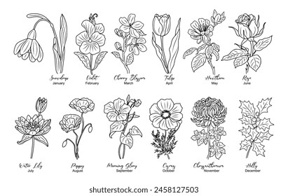 Conjunto de Ilustraciones vectoriales de arte de la línea de flores del mes de nacimiento. Gota de nieve, violeta, flor de cerezo, nenúfar, amapola, gloria de la mañana, cosmos, crisantemo, dibujos de contorno de rosa para el tatuaje, logotipo, arte de la pared.