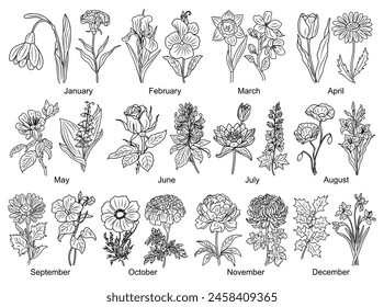 Conjunto de Ilustraciones vectoriales de arte de la línea de flores del mes de nacimiento. Gota de nieve, violeta, flor de cerezo, nenúfar, amapola, gloria de la mañana, cosmos, crisantemo, dibujos de contorno de rosa para el tatuaje, logotipo, arte de la pared.