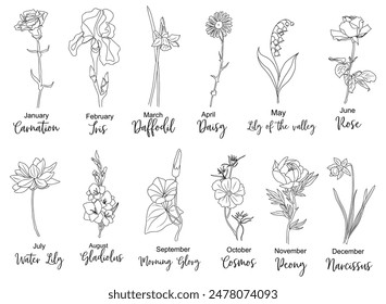Set of Birth month flowers line art vector illustrations. Carnation, iris, daffodil, daisy, lily of the valley, gladiolus, morning glory, cosmos, peony outline drawings for tattoo, logo, wall art.