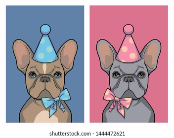 Set of birthday gray girl and brown boy French Bulldog dog with pink and blue party hat and ribbon, graphic vector illustration, birthday greeting card motive