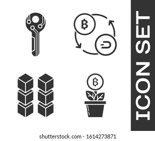 Set Bitcoin plant in the pot, Cryptocurrency key, Blockchain technology and Cryptocurrency exchange icon. Vector