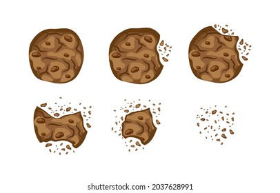Set with bitten chocolate cookies  vector illustration in a cartoon flat style isolated on white background. Biscuits broken with crumbs