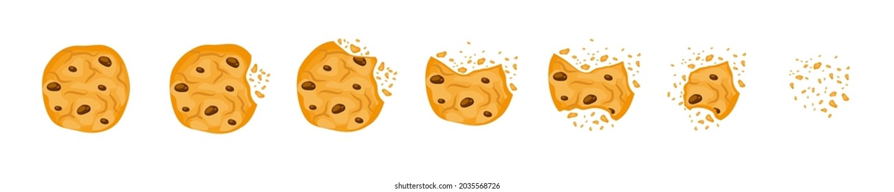 Set with bitten chokolate cookies vector illustration in a cartoon flat style isolated on white background. Biskuits brocken with crumbs