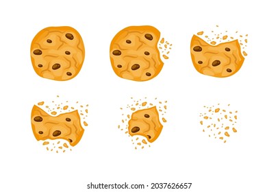 Set with bitten chokolate cookies vector illustration in a cartoon flat style isolated on white background. Biskuits brocken with crumbs