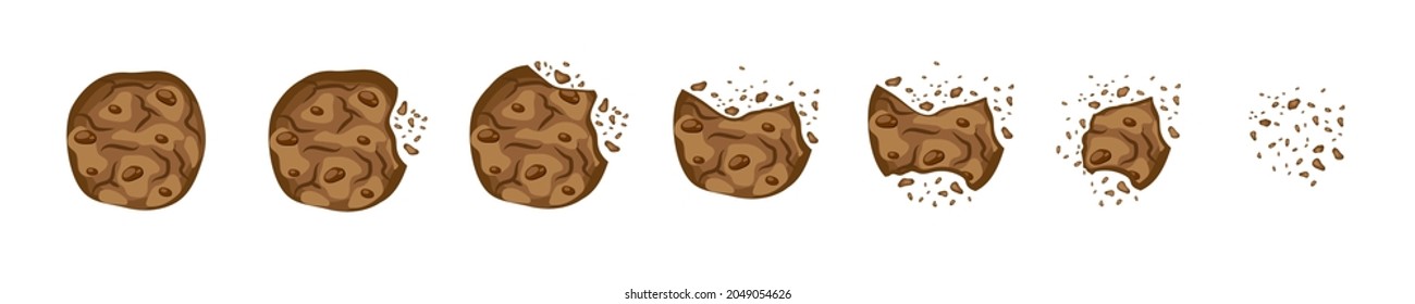 Set with bitten chokolate cookies vector illustration in a cartoon flat style isolated on white background. Biskuits brocken with crumbs