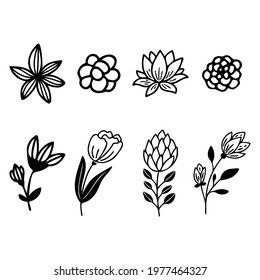 Set of black abstract flowers and leaves. Simple vector illustration of silhouettes.