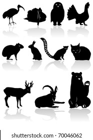 The set from black animal silhouettes with shadow