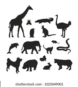 Set of black animals silhouettes on white background. Vector pets collection.