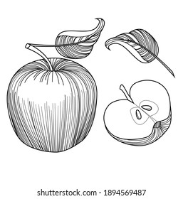 Set of black apples. Apples slice. Vektor illustration.