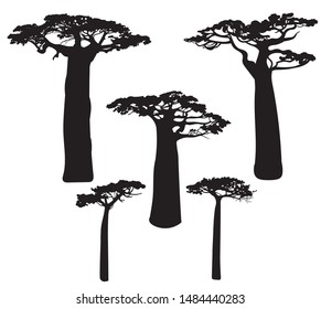 Set of black baobab tree silhouettes