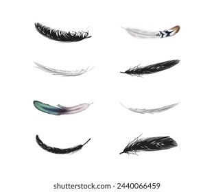 Conjunto de plumas de pájaro negro en un estilo plano. Silueta de plumas de pluma negra. Colección Plumelet