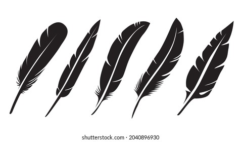 Set of Black bird feather. Vector Illustration and outline Icons. Symbol of freedom.