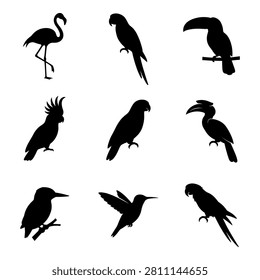 Set of black bird icons featuring various tropical species like parrots, toucans, and hummingbirds.