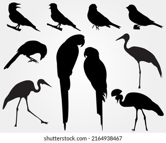 Set of a black Bird silhouette