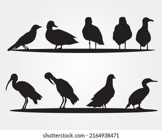 Set of a black Bird silhouette