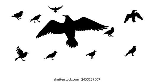 set of black bird silhouette