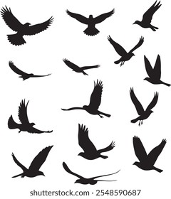 Set of black bird silhouettes of amazon jungle isolated on white background