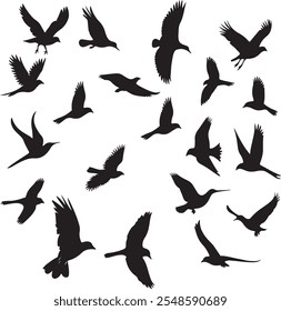 Set of black bird silhouettes of amazon jungle isolated on white background