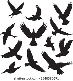 Set of black bird silhouettes of amazon jungle isolated on white background