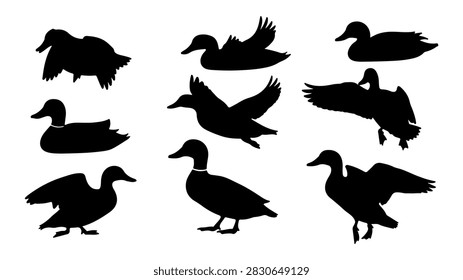 A set of black bird silhouettes featuring different species, ideal for creative projects, presentations, and artistic designs involving avian themes.