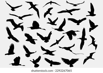 Set of black bird silhouettes. isolated on white background