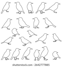 Set of black bird silhouettes. Line style birds vector. Editable stock.