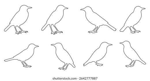 Set of black bird silhouettes. Line style birds vector. Editable stock.