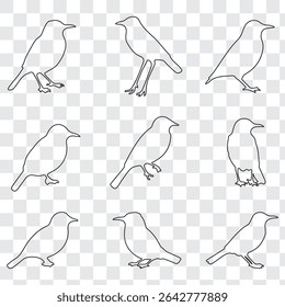 Set of black bird silhouettes. Line style birds vector. Editable stock.