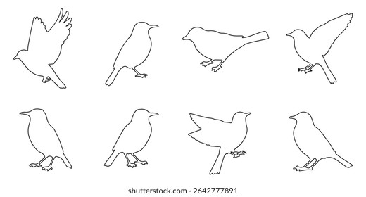 Set of black bird silhouettes. Line style birds vector. Editable stock.