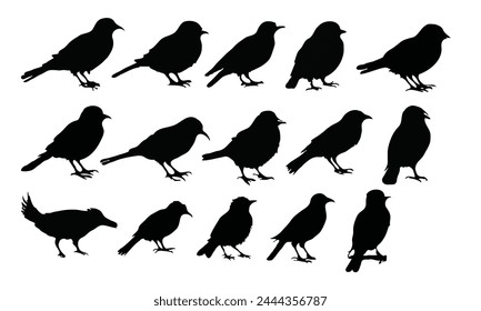 Set of black bird silhouettes. Vector elements for design