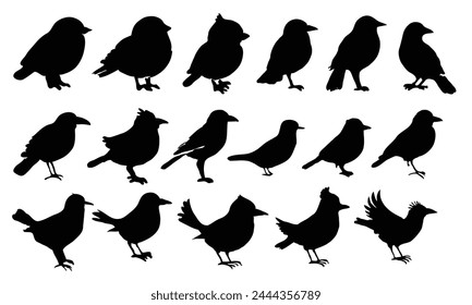 Set of black bird silhouettes. Vector elements for design