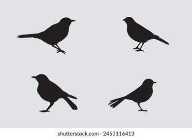 Set of black bird silhouettes. Vector elements for design.