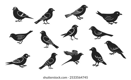 Set of black bird silhouettes. Vector illustration. Isolated on white background.