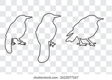 Set of black bird silhouettes. Vector elements for design fly illustration sign collection. nature symbol.